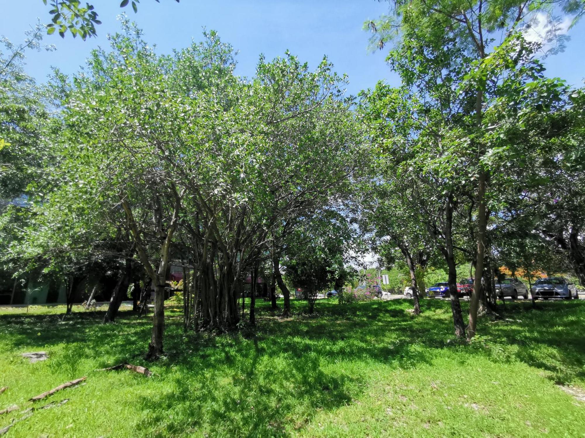 COZY NEAR BEACH APARTMENT - King + Queen + Pool Cancún Kamer foto